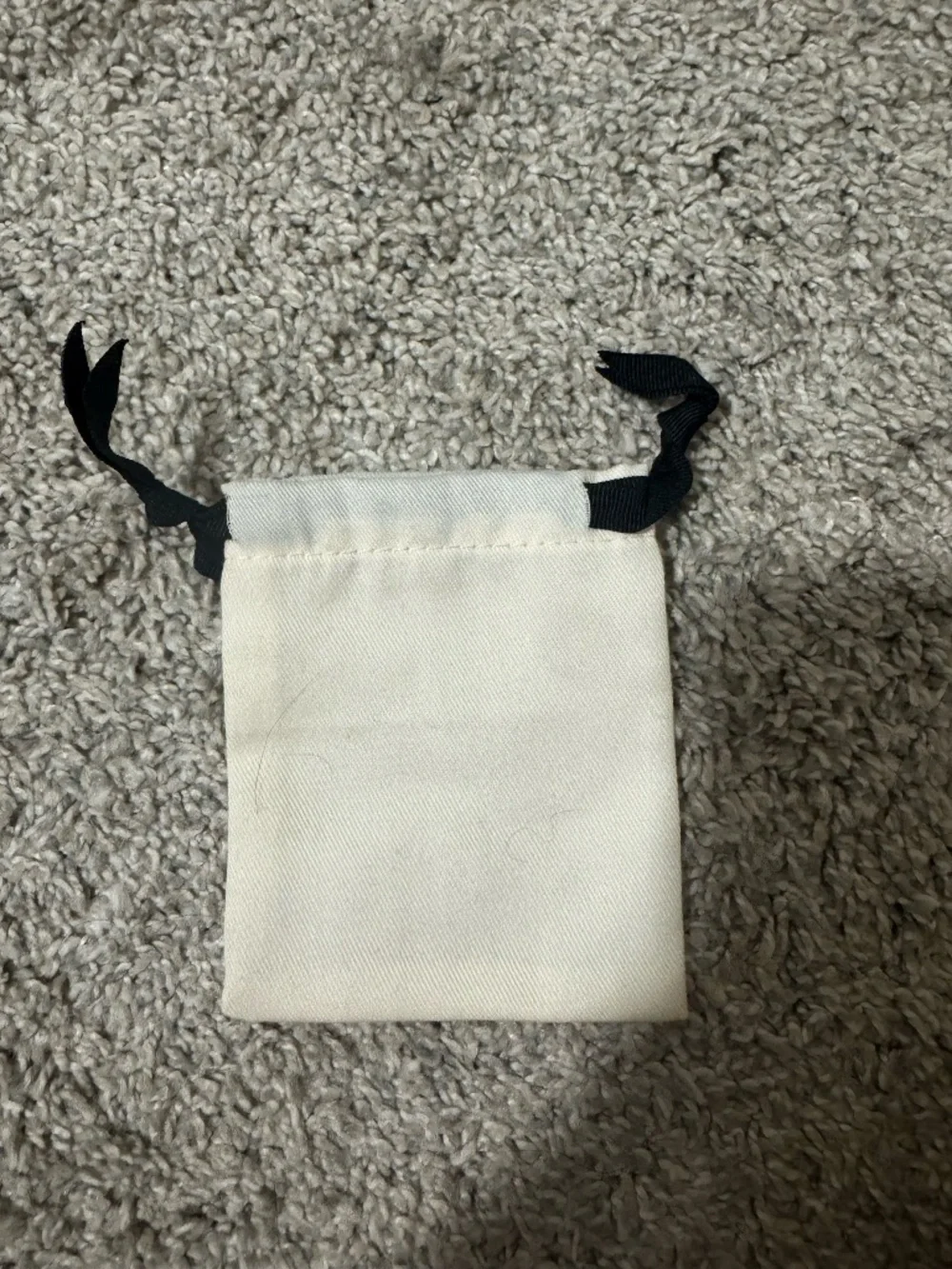 Kate Spade Dust Bag